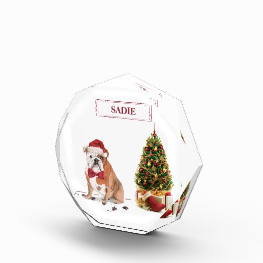 English Bulldog Funny Christmas Dog mit Baum Fotoblock (Rechts)