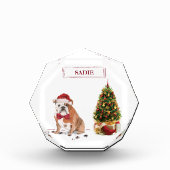 English Bulldog Funny Christmas Dog mit Baum Fotoblock (Vorderseite)