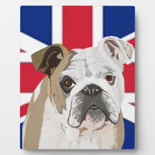 English Bulldog gegen einen EU Jack Fotoplatte