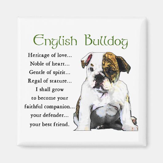 English Bulldog Geschenke Magnet (Vorne)