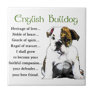 English Bulldog Heritage of Liebe Fliese