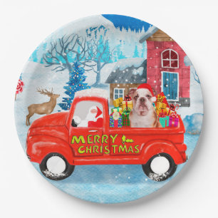 English Bulldog in Christmas Delivery Truck Schnee Pappteller