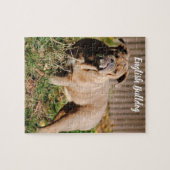 English Bulldog Jigsaw Puzzle Game (Horizontal)