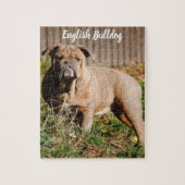 English Bulldog Jigsaw Puzzle Game (Vertikal)