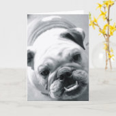 English Bulldog Karte (Gelbe Blume)