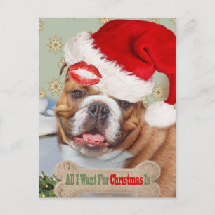 English Bulldog Kisses for Christmas Feiertagspostkarte