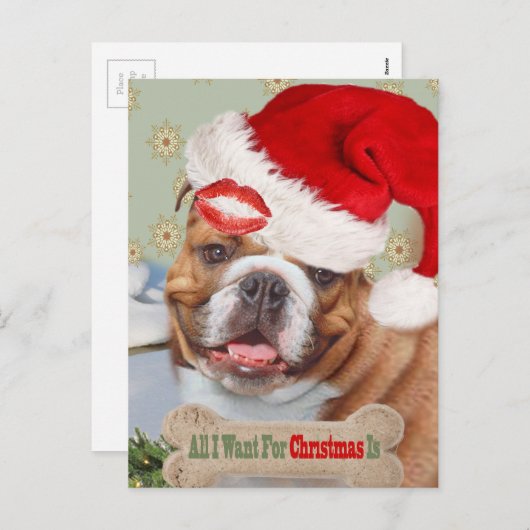 English Bulldog Kisses für Weihnachten (Vorne/Hinten)