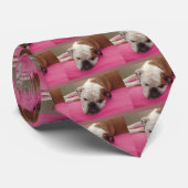 English Bulldog Krawatte (Gerollt)
