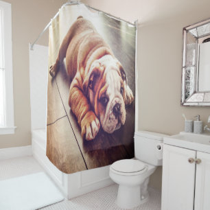 English Bulldog Lying Dog Hundebahn Foto Duschvorhang