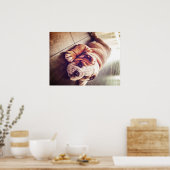 English Bulldog Lying Dog | Hundebahn Foto Poster (Küche)