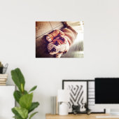 English Bulldog Lying Dog | Hundebahn Foto Poster (Heimbüro)