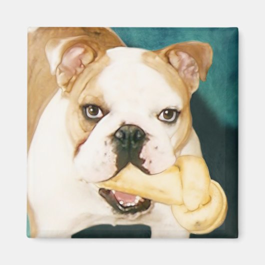 English Bulldog Magnet (Vorne)