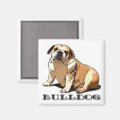 English Bulldog-Magnet Magnet (Vorderseite/Rückseite)