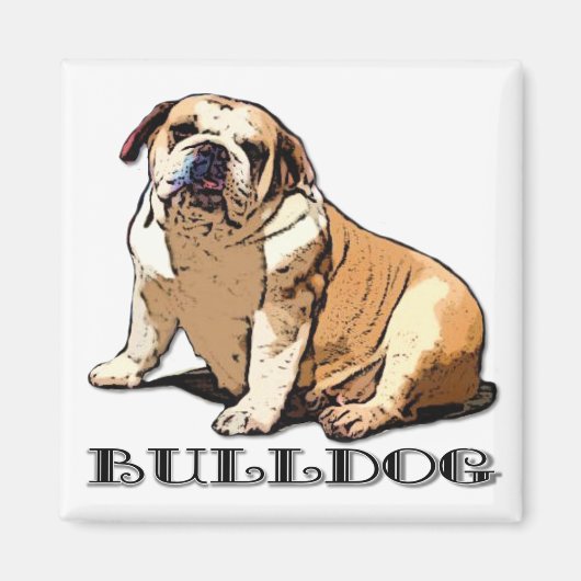 English Bulldog-Magnet Magnet (Vorne)