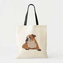 English Bulldog Niedlich Dog