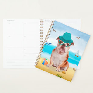 English Bulldog on Beach Planer