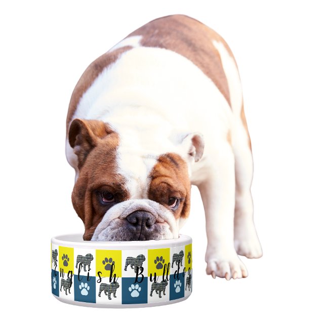 English Bulldog & Paw Yellow & Blue Grid2 Napf (English Bulldog bowl)