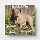English Bulldog Plaque mit Easel Fotoplatte (Vorderseite)