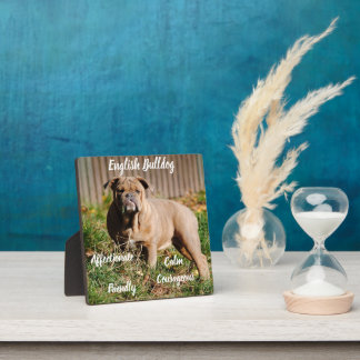 English Bulldog Plaque mit Easel Fotoplatte