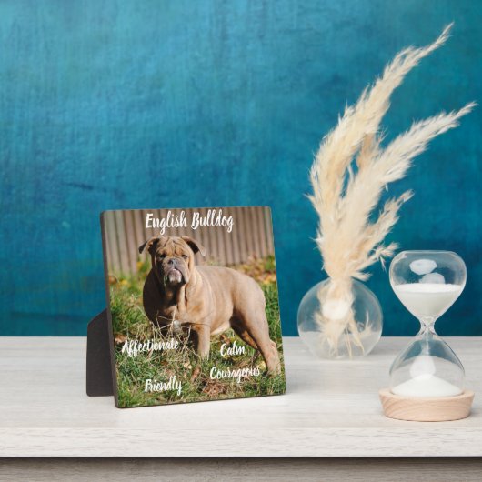 English Bulldog Plaque mit Easel Fotoplatte (InSitu)