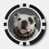 English Bulldog Poker Chips (Vorderseite)