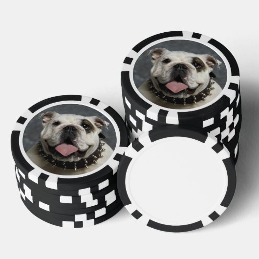 English Bulldog Poker Chips (Stapel)