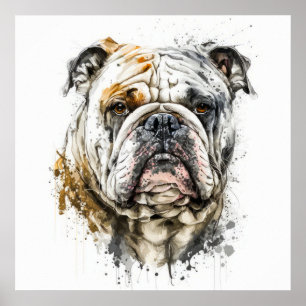 English Bulldog Portrait Animal Painting Wildlife Poster