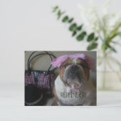 ENGLISH BULLDOG POSTCARD ERINNERUNG POSTKARTE (Stehend Vorderseite)