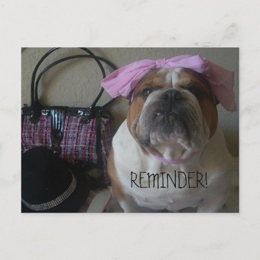 ENGLISH BULLDOG POSTCARD ERINNERUNG POSTKARTE (Vorderseite)