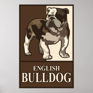 English Bulldog Poster