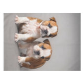 English Bulldog Puppies | Couple Niedlich Bulldog Tischdecke (Vorderseite (Horizontal))