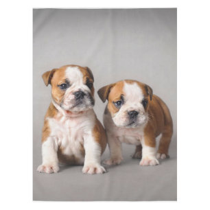 English Bulldog Puppies Couple Niedlich Bulldog Tischdecke