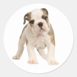 English Bulldog Puppy Docker / Siegel Runder Aufkleber