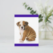 English Bulldog Puppy Dog Blue Blank Postkarte (Stehend Vorderseite)
