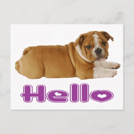 English Bulldog Puppy Dog - Hallo, Lila Herz Postkarte (Vorderseite)