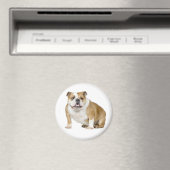 English Bulldog Puppy Dog Magnet (In Situ (Geschirrspüler))