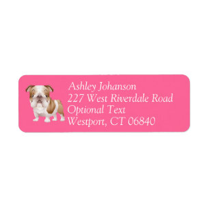 English Bulldog Puppy Dog Rücksendeadresse