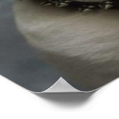 English Bulldog Puppy Doster Portrait Poster (Ecke)