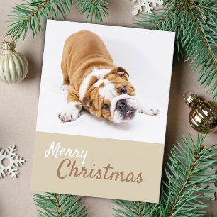 English Bulldog Puppy Foto Christmas Custom Feiertagspostkarte