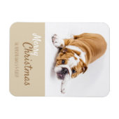 English Bulldog Puppy Foto Christmas Custom Magnet (Horizontal)