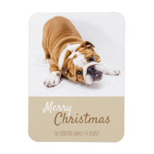 English Bulldog Puppy Foto Christmas Custom Magnet