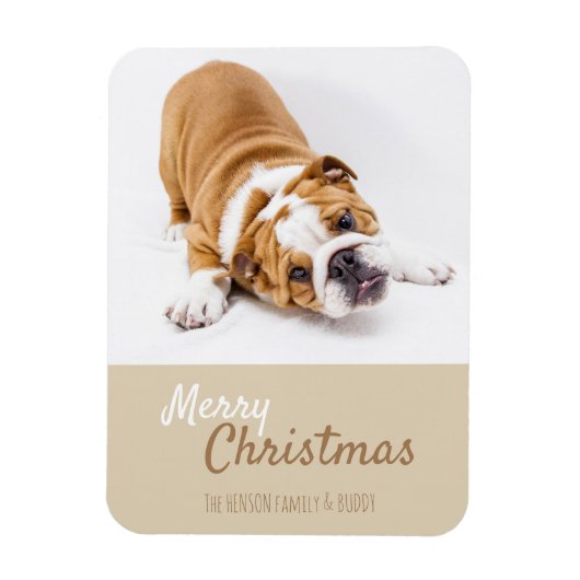 English Bulldog Puppy Foto Christmas Custom Magnet (Vertikal)