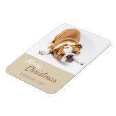 English Bulldog Puppy Foto Christmas Custom Magnet (Linke Seite)