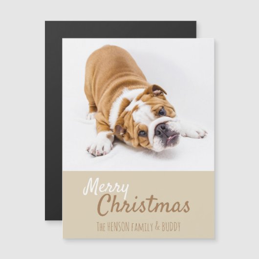 English Bulldog Puppy Foto Christmas Magnet Card (Vorne/Hinten)