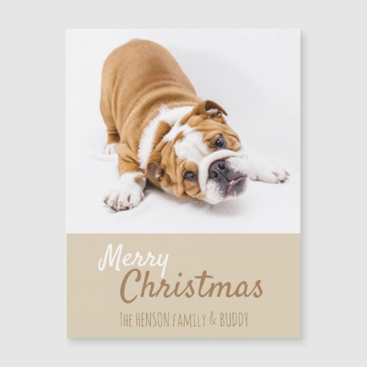 English Bulldog Puppy Foto Christmas Magnet Card (Vorderseite)