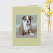 English Bulldog Puppy Karte (Gelbe Blume)