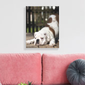 English Bulldog Puppy Leinwanddruck (Insitu (Wohnzimmer))