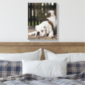 English Bulldog Puppy Leinwanddruck (Insitu (Schlafzimmer))