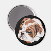 English Bulldog Puppy Magnet (Vorderseite/Rückseite)