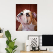 English Bulldog Puppy Poster (Heimbüro)